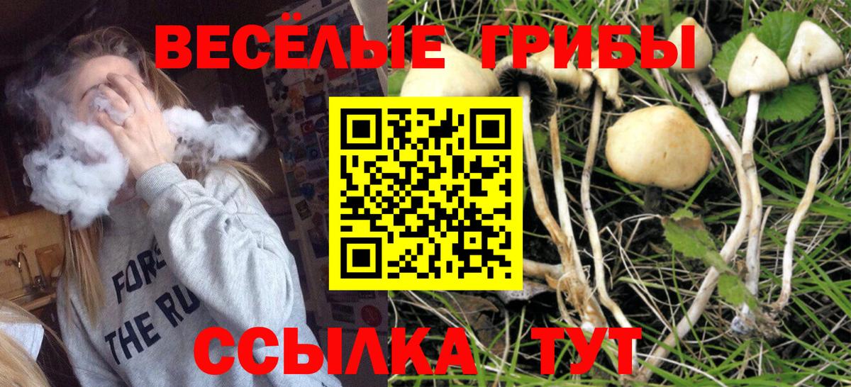 Камень-на-Оби  Галлюциногенные грибы мухоморы  Вход с VPN 